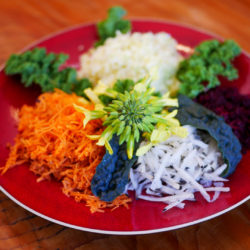 Salade carotte, betterave, radis noir, chou blanc, kale
